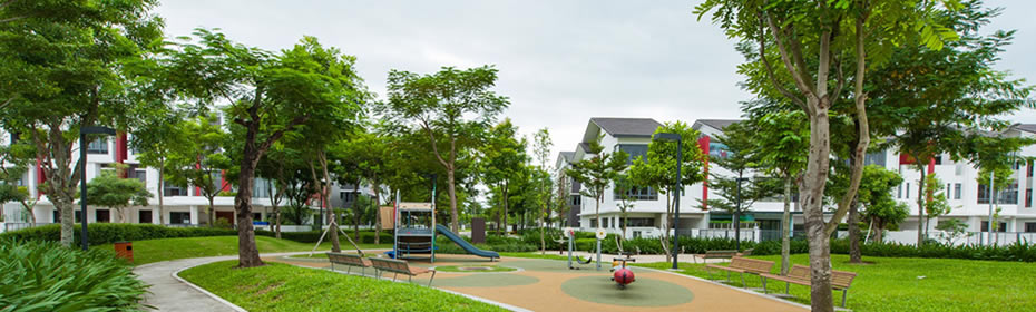 Cây xanh công trình TP Vinh Nghệ An